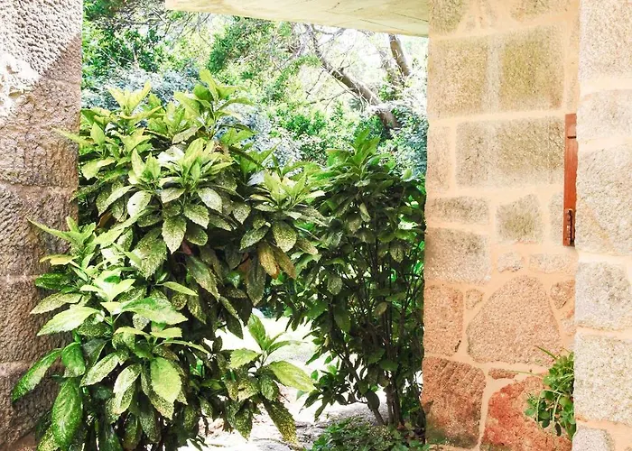 Tomada Da Luz Daire *